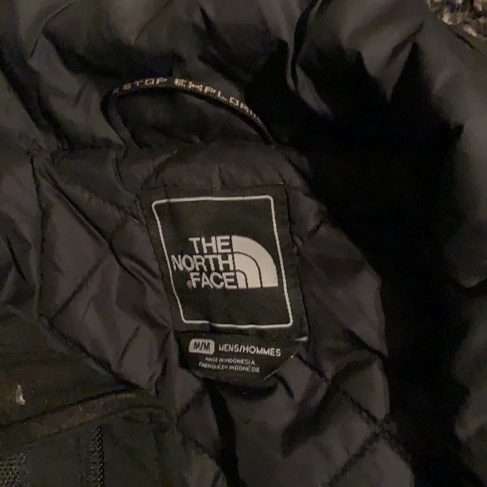Northface Winter Jacket - image 2